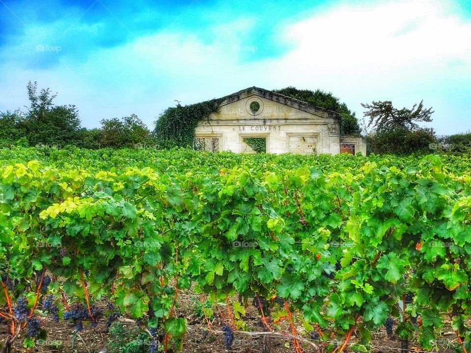 St-Emilion