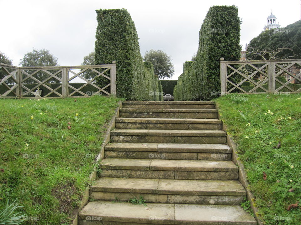 Garden, No Person, Tree, Park, Grass