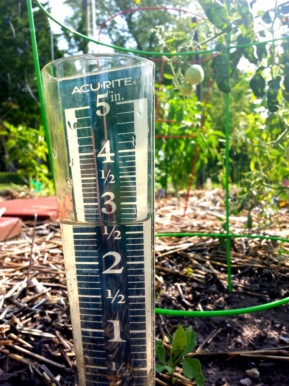 Rain Gauge