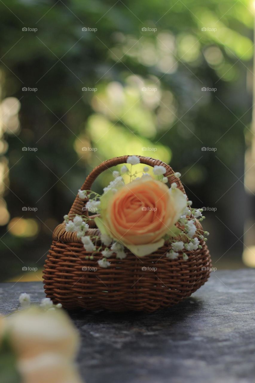 Rose flower in a rattan vase