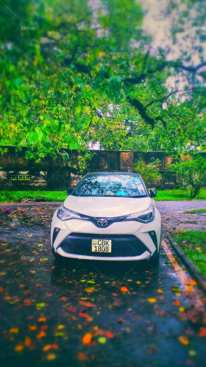 car with beautiful nature