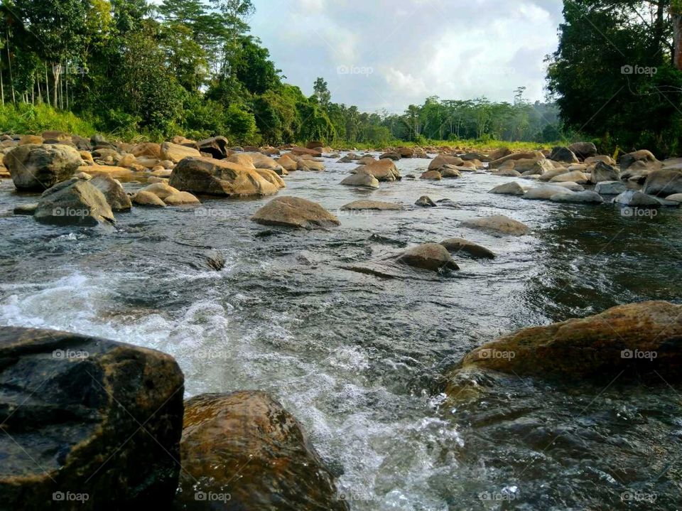 One of my favourite places..Water flows through the forest #great place to have a dip 💦😉