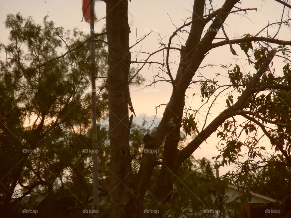 oops photo 3. This is a picture I took accidentally last night while watching the thunder ⚡ storms. 👣 🚶 🏃 🔥 💨