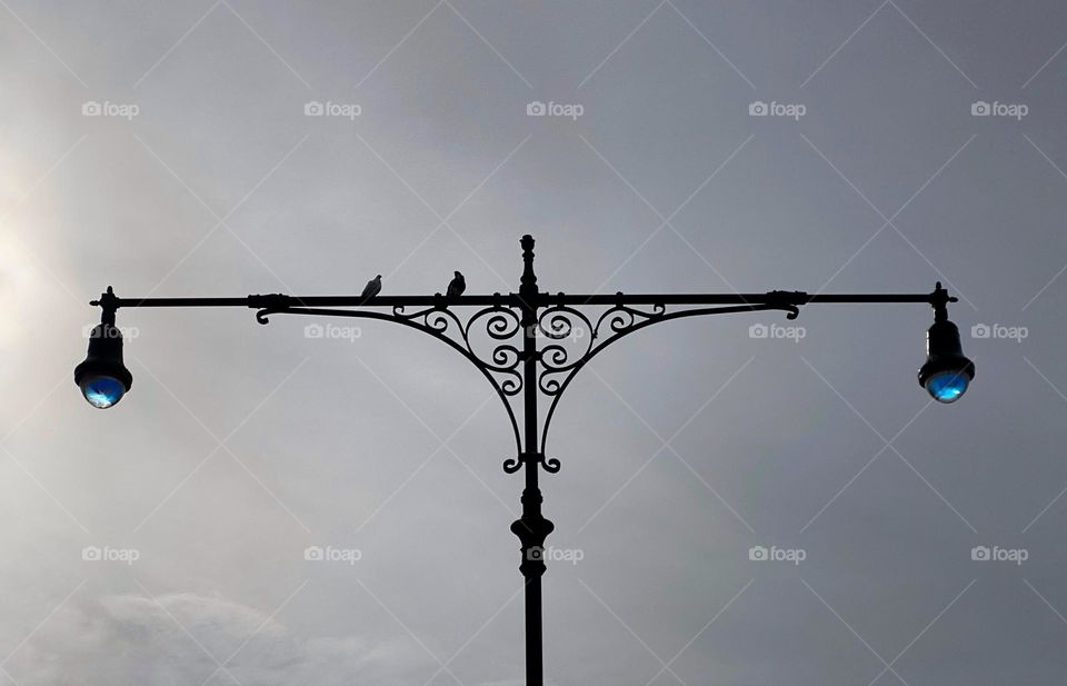 Decorative wrought iron lamppost with two pigeons perched on it