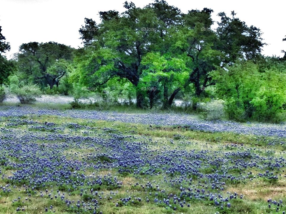 This is a ghost town in Texas formerly called Williams Ranch. 