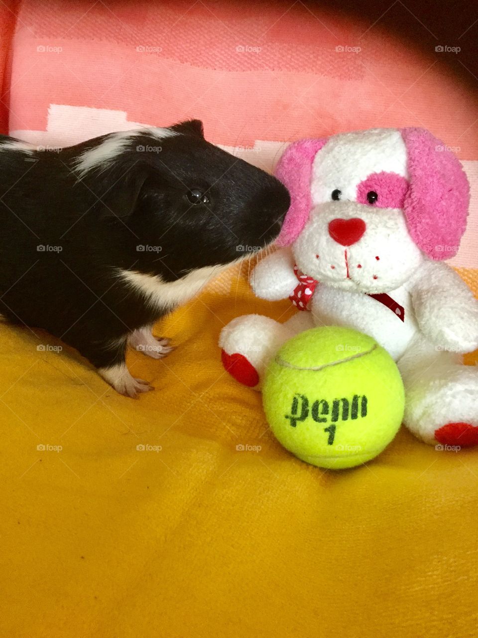 Timmy baby with his toys 