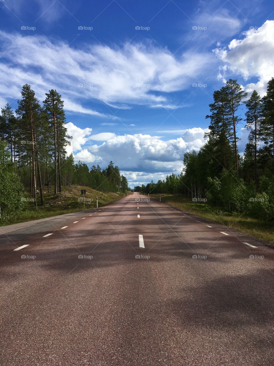 Roadtrip, Sweden.