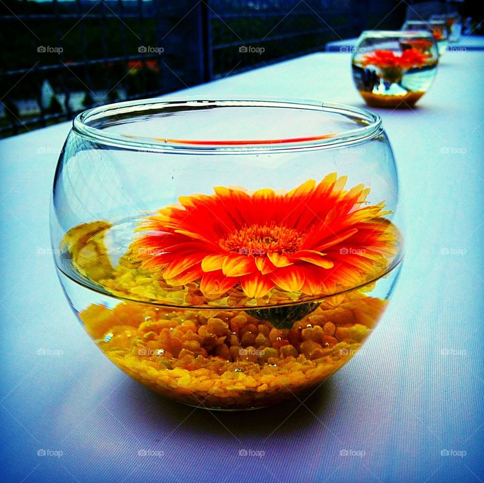 Flower art in the bowl