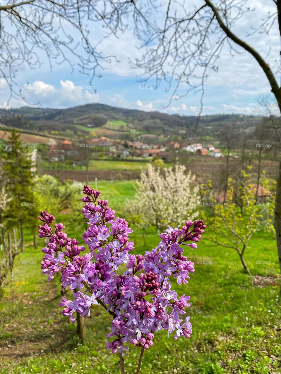 beautiful spring day