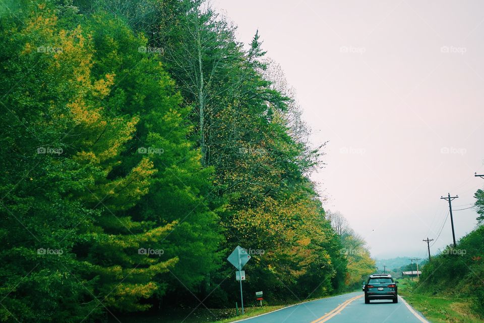 Beautiful blue ridge scenic drive in north George and Tennessee 