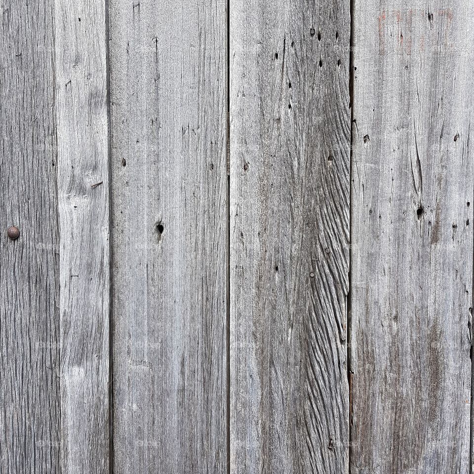 Wood grain texture