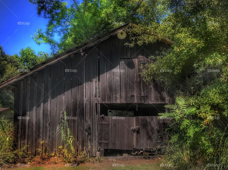 Old Weathered Barn 