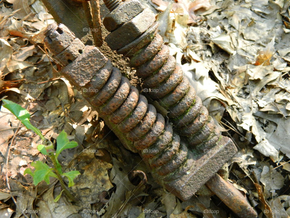 rusty Springs