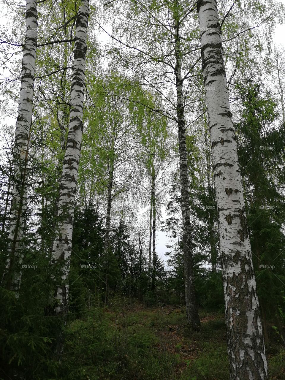 where I belong ❤️