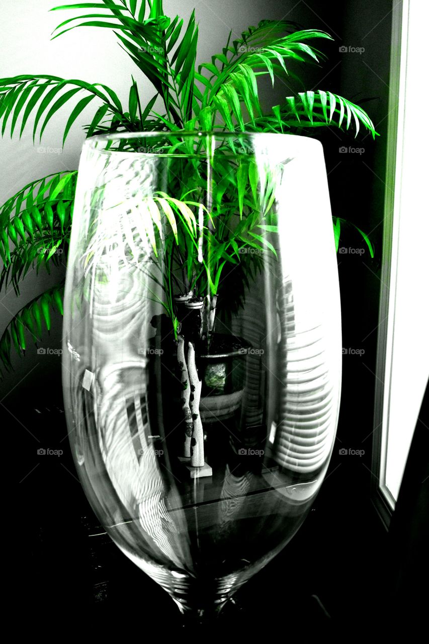 Palm fern pedal one glass abstract monochrome contemporary