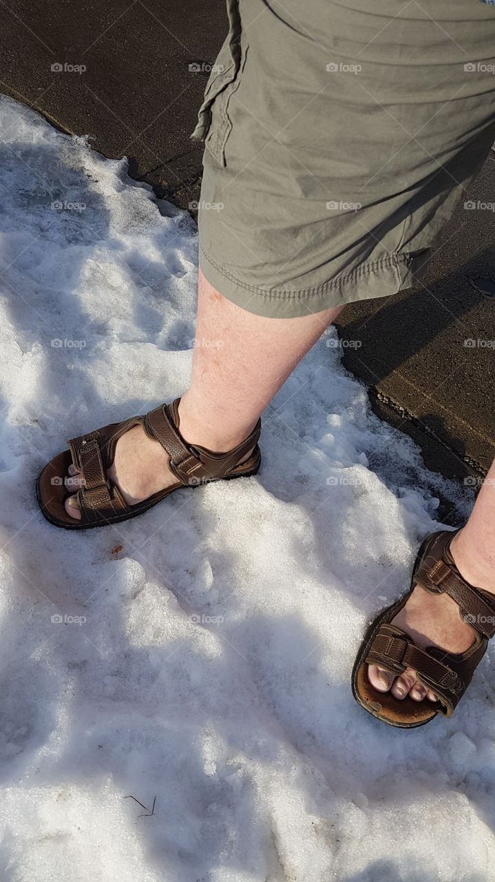 That Guy in the Winter Shorts