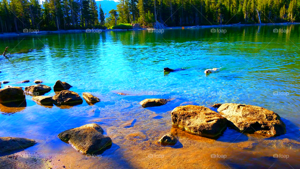 "Lake Tahoe"