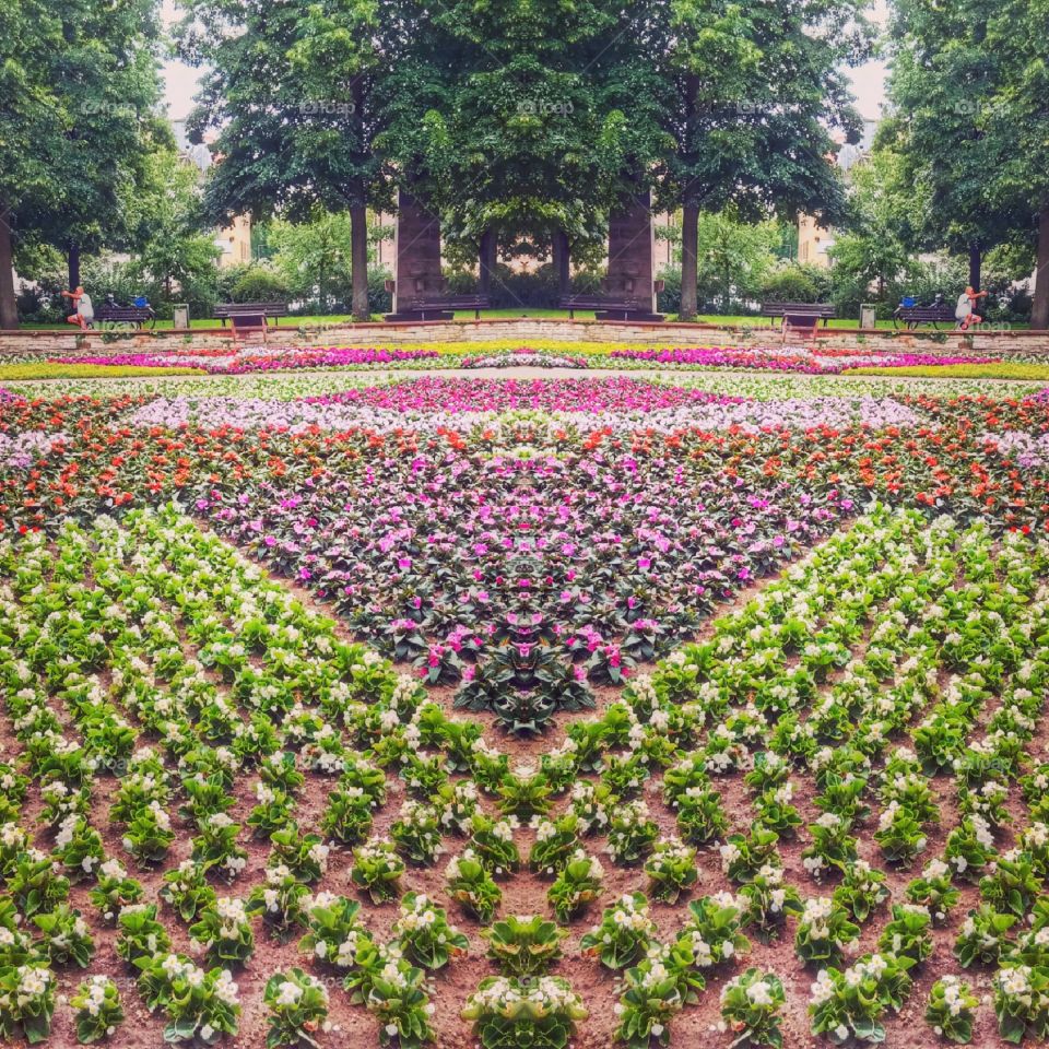 Colourful Garden