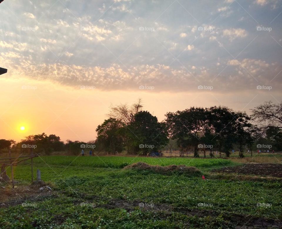 Lovely Evenings
Sunsets
Farm visit