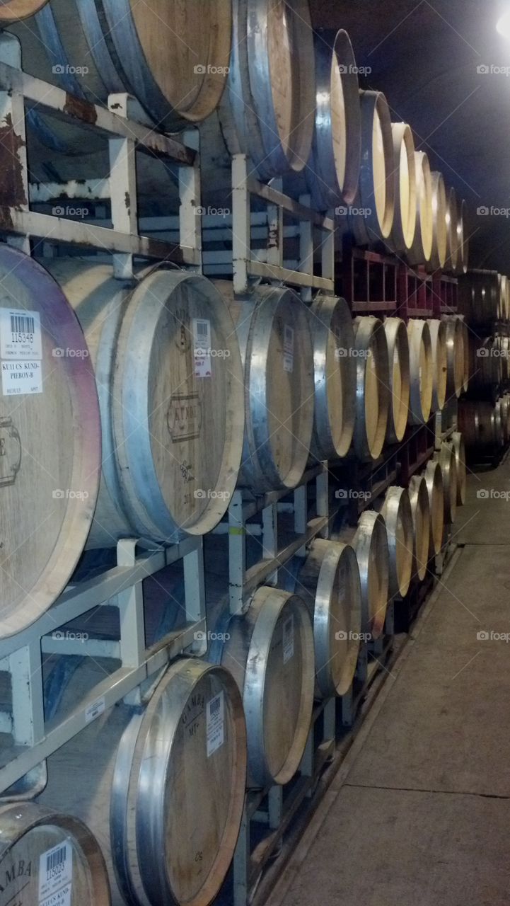wine barrels in a cave