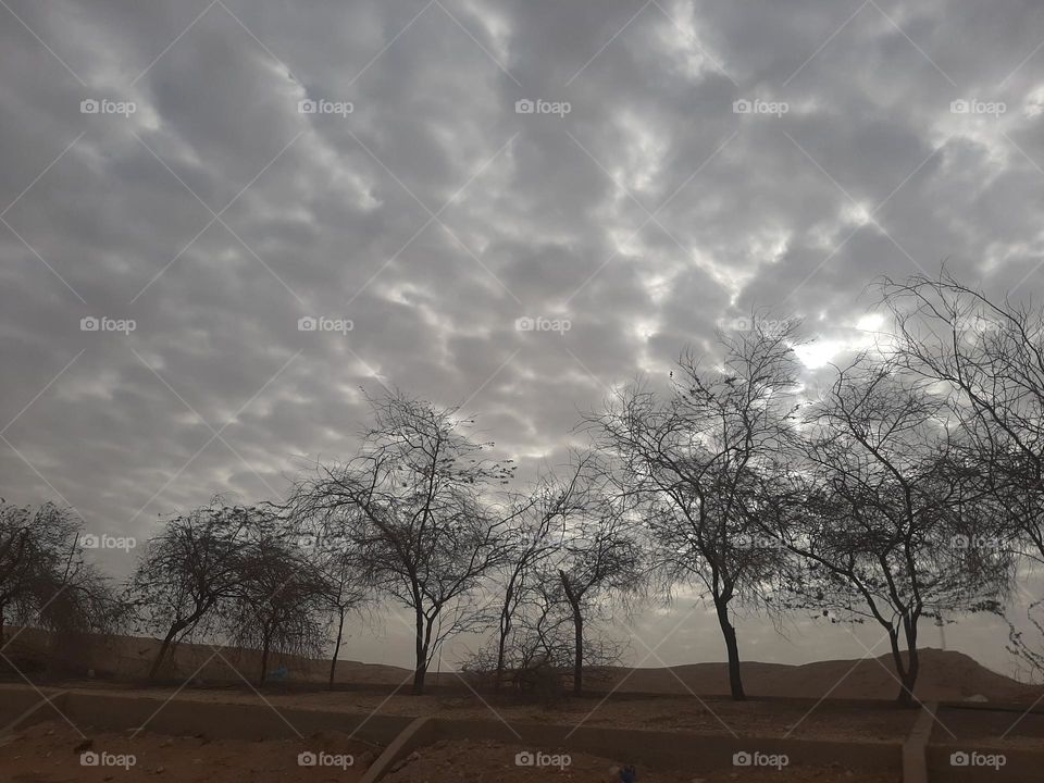 Please make me happy, I am poor, I need your help with support