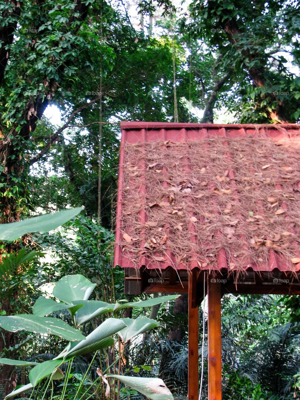 wooden house with bamboo