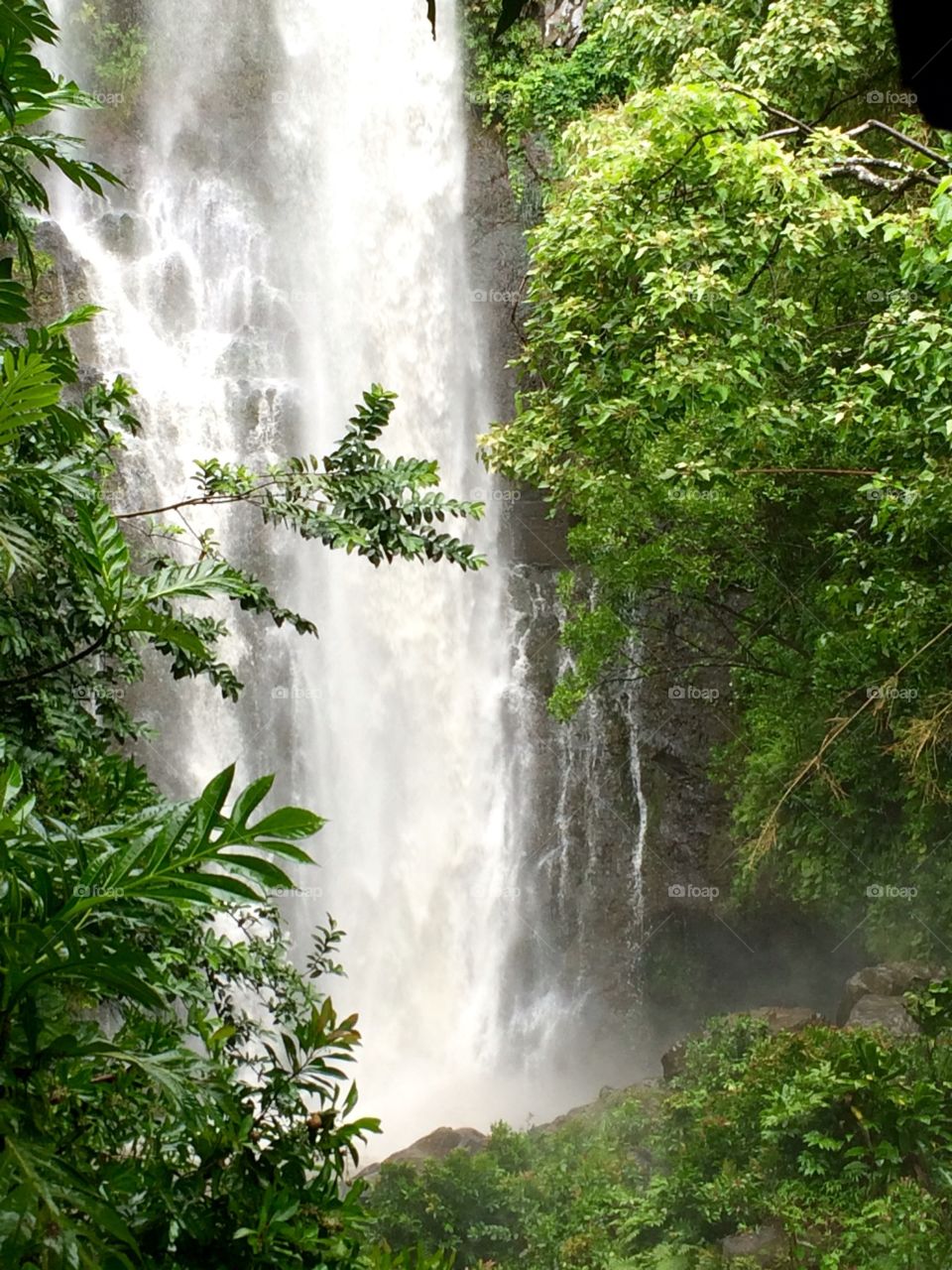 Impressive waterfall in Hawaii rainforest 