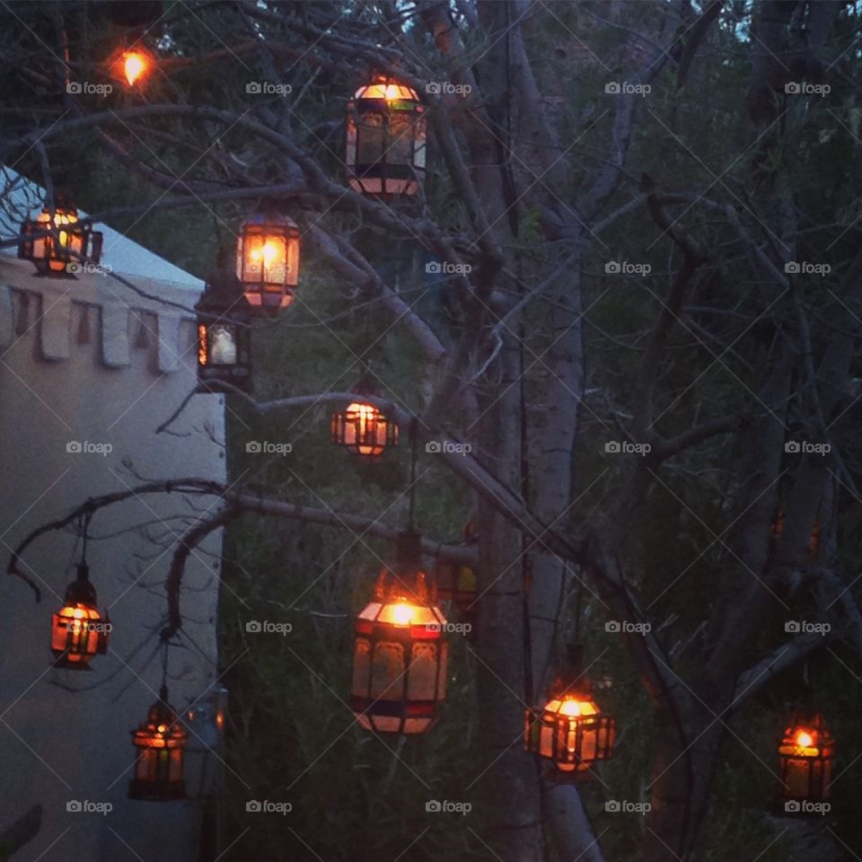 Lanterns in a tree