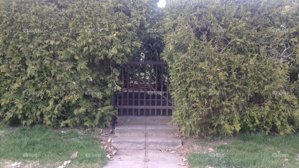 Secret Gate 