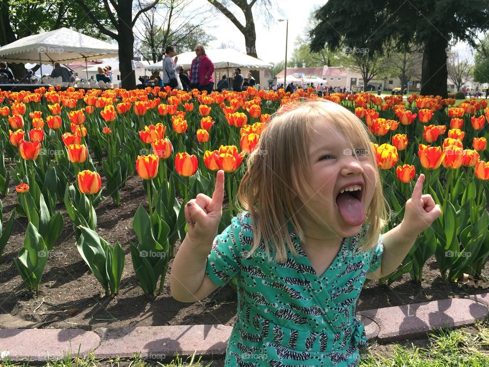 Rocking around the tulips