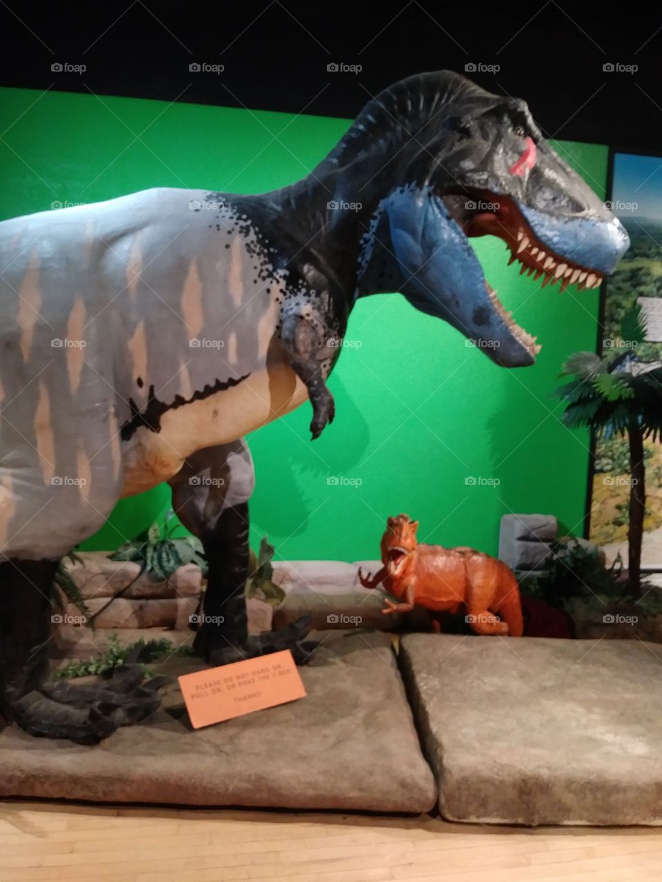 Fun, exciting, scary, informative dinosaur habitat