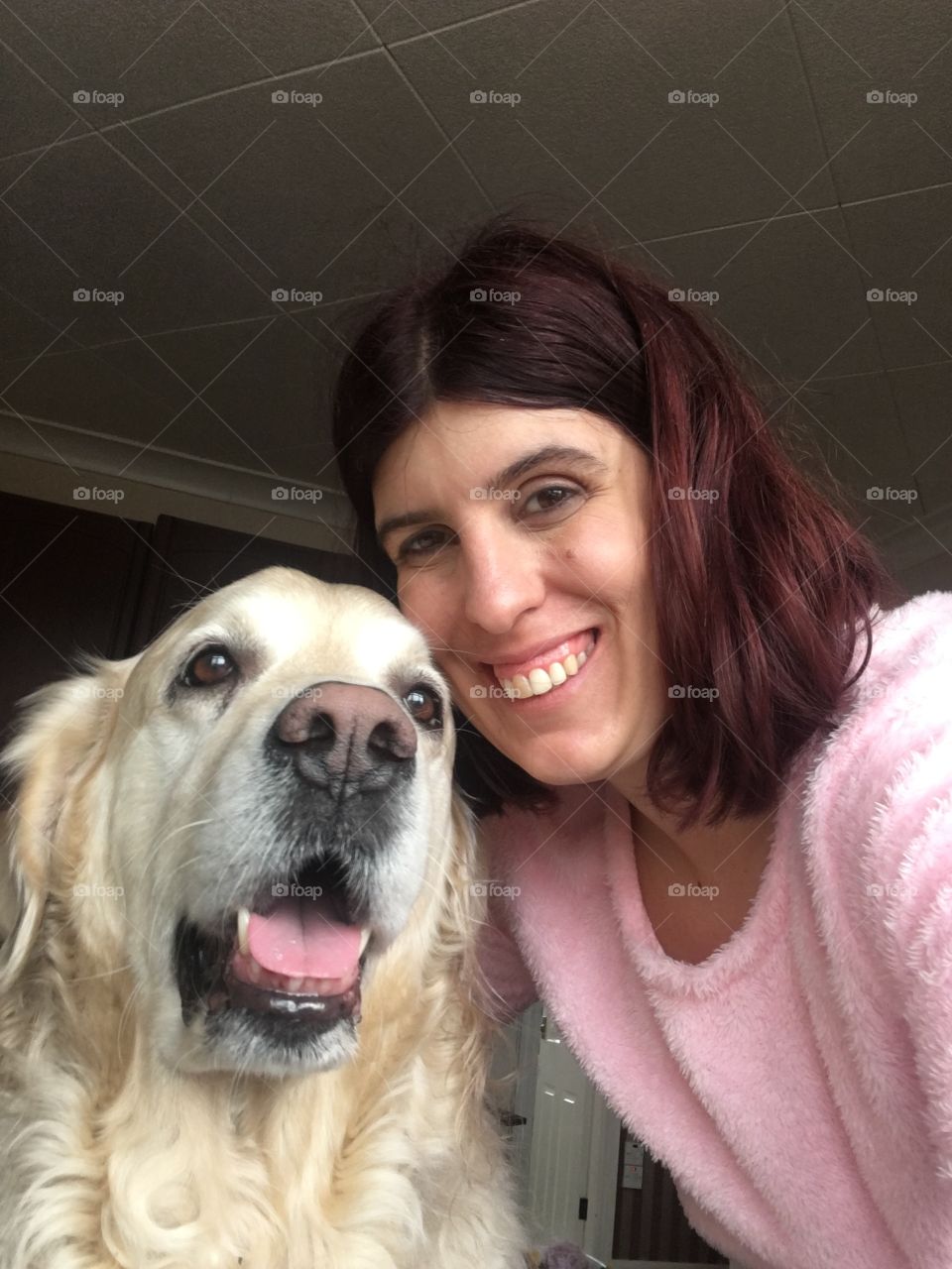 Portrait, Dog, Cute, Pet, Friendship