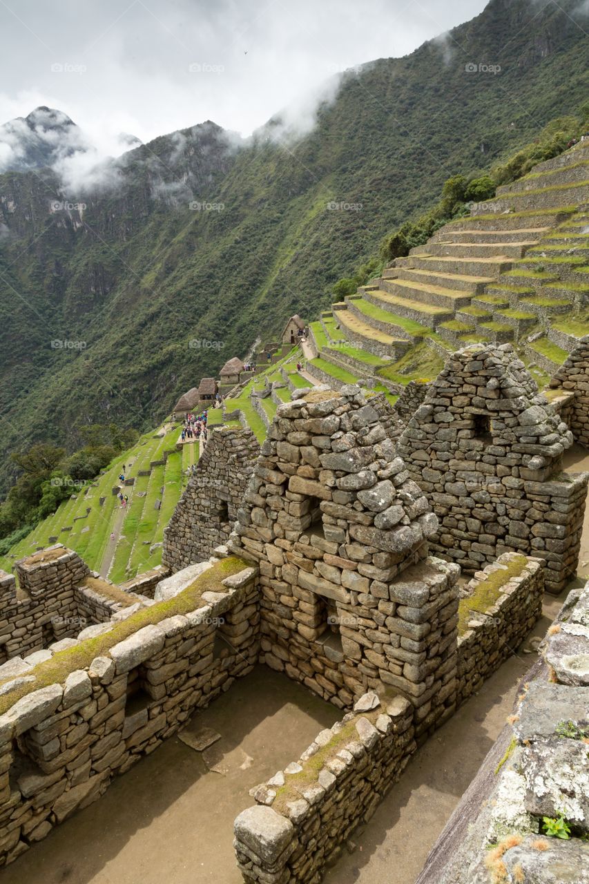 Machu Picchu farming terraces. View towards farming terraces at Machu Picchu. Few ruins in the front. Steep forest covered mountains in the background