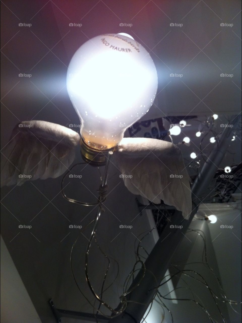 Bulbs might fly