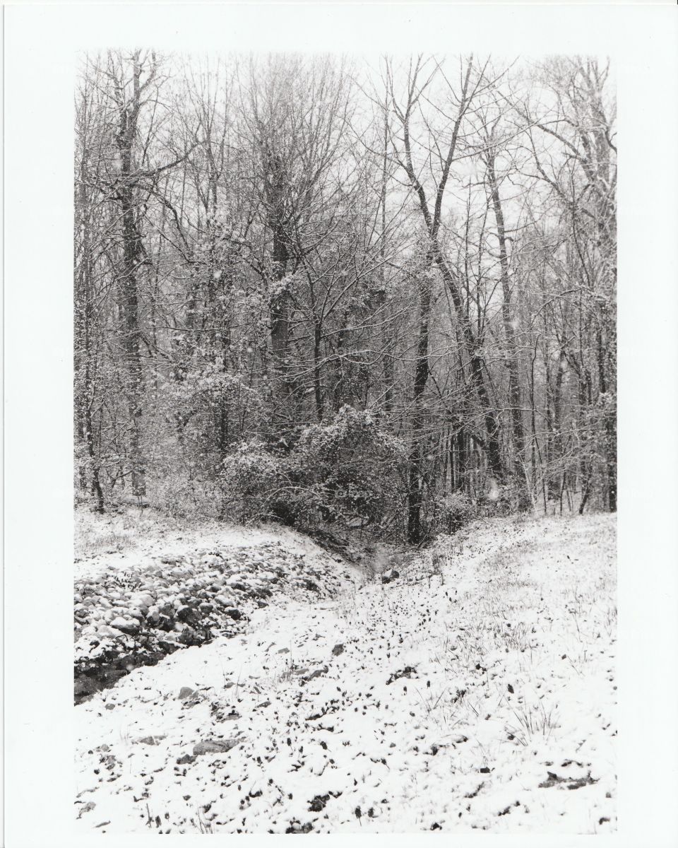 Scanned film photo of mid-March snow in Evansville, IN