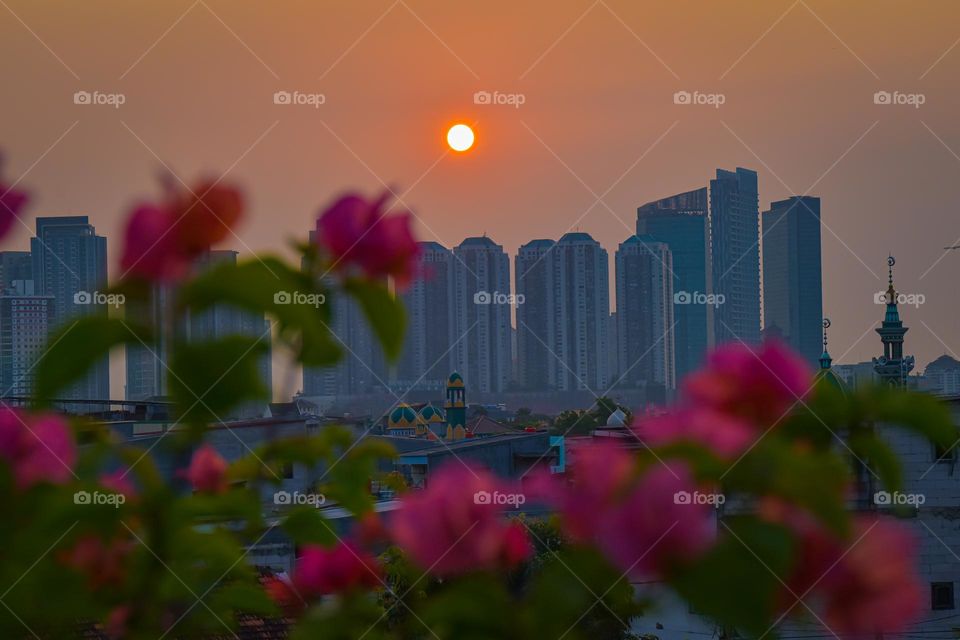 Yellow twilight with red flower foreground.  Jakarta, Friday 19 May 2023.