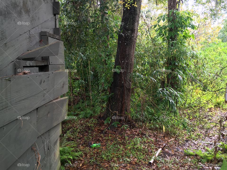 Abandoned Jungleland Zoo