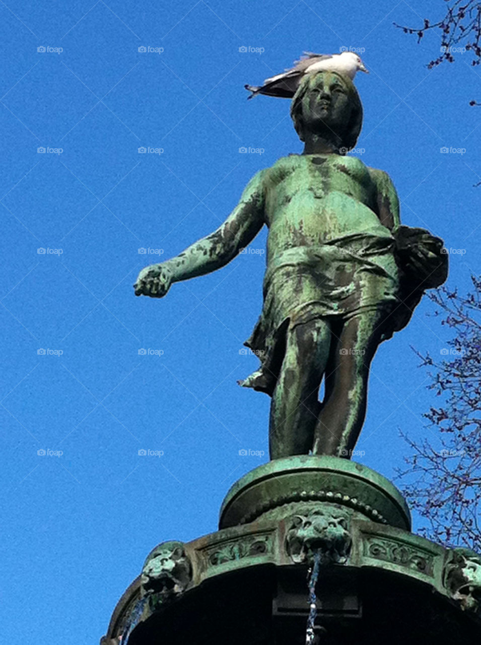 STATUE AND BIRD