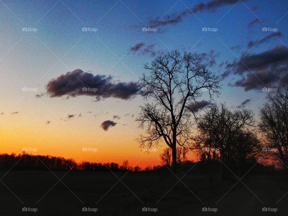 winter tree silhouette under beautiful sunset