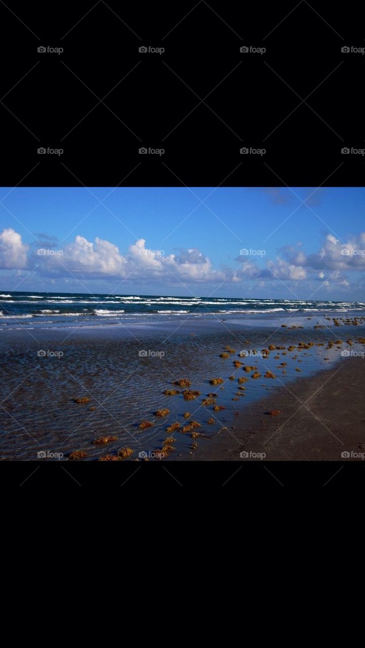 sky water seaweed sea by gingersleetsnow