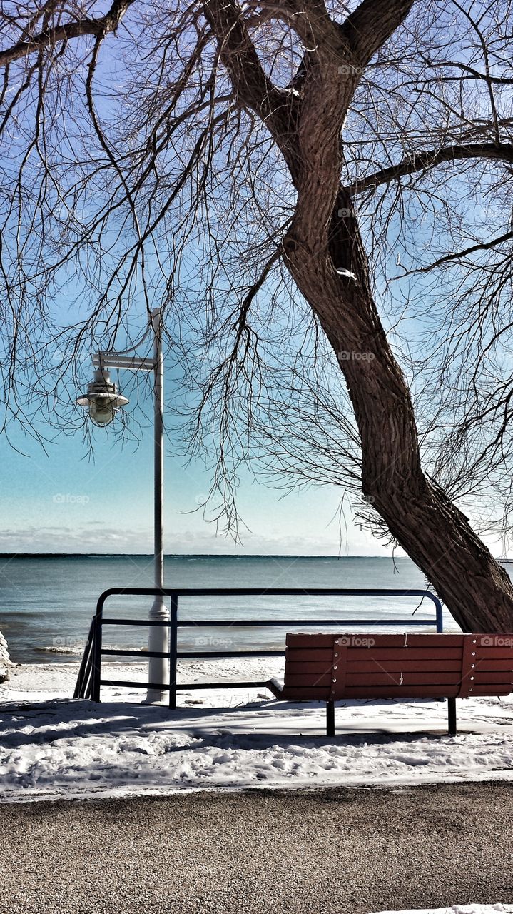 Winter by the Lake