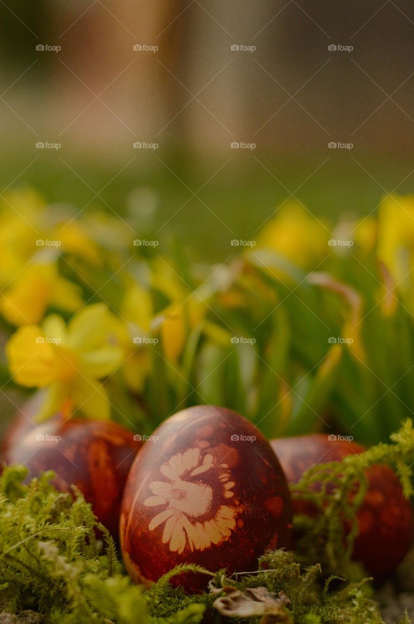 natural dyed easter eggs.