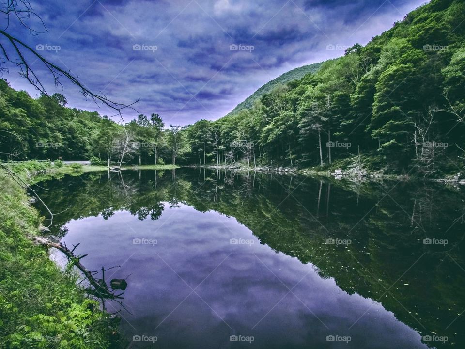 Devils Tombstone New York, wildlife, lake, grass, nature, landscape, peaceful, road, clear water, water, like mirror, trees, mountains,