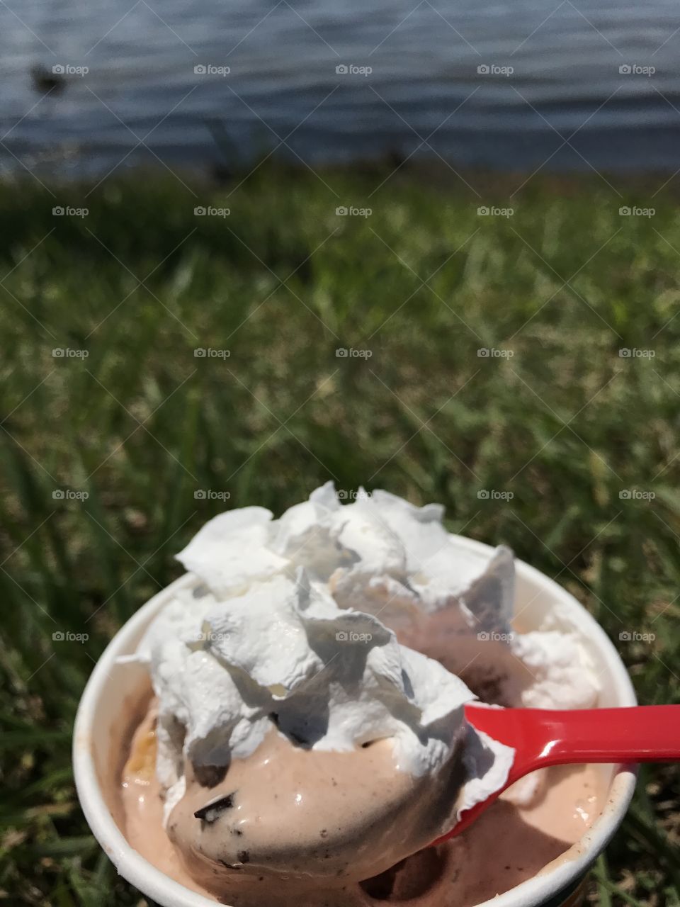 Summer time ice cream 
