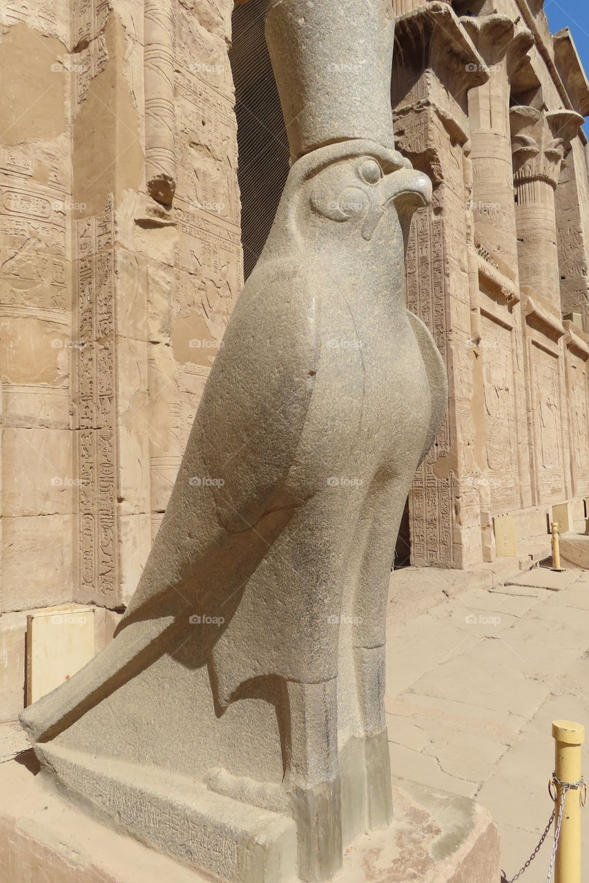 Horus