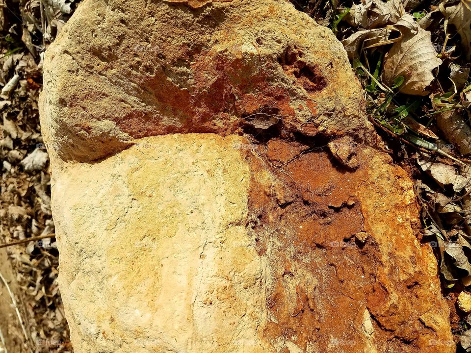 What can we  Really see in a Rock