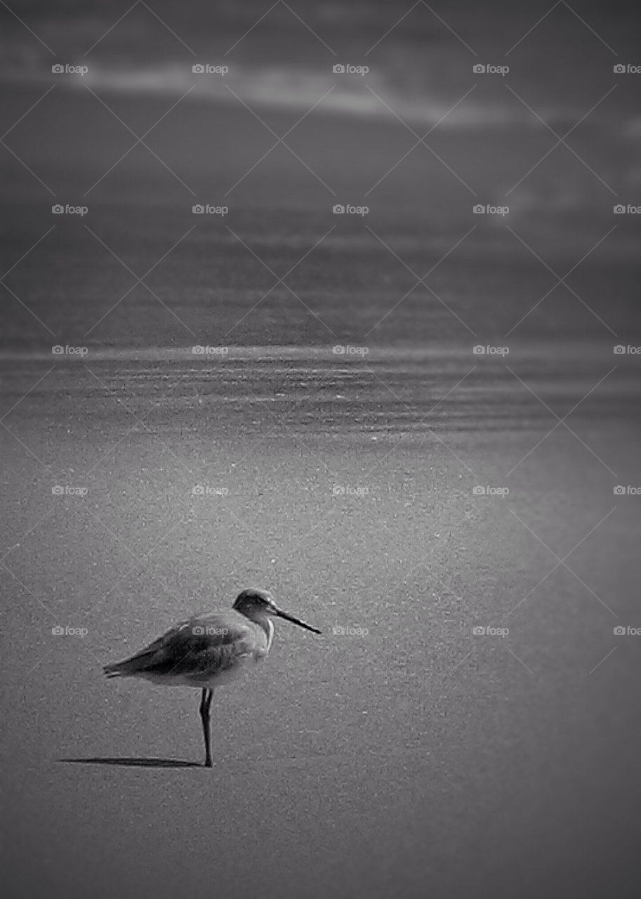 beach wet waves tired by stevehardley7