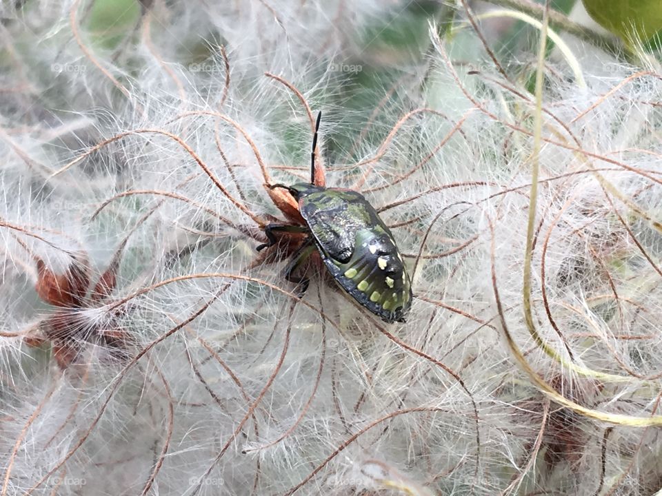 A nice place to stay