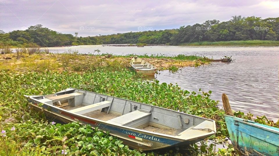 Brazilian river