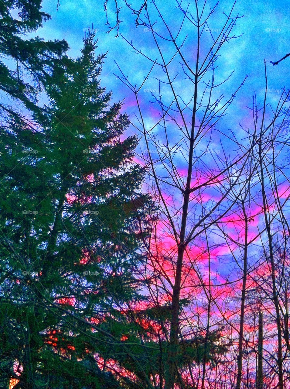 Pink Sky